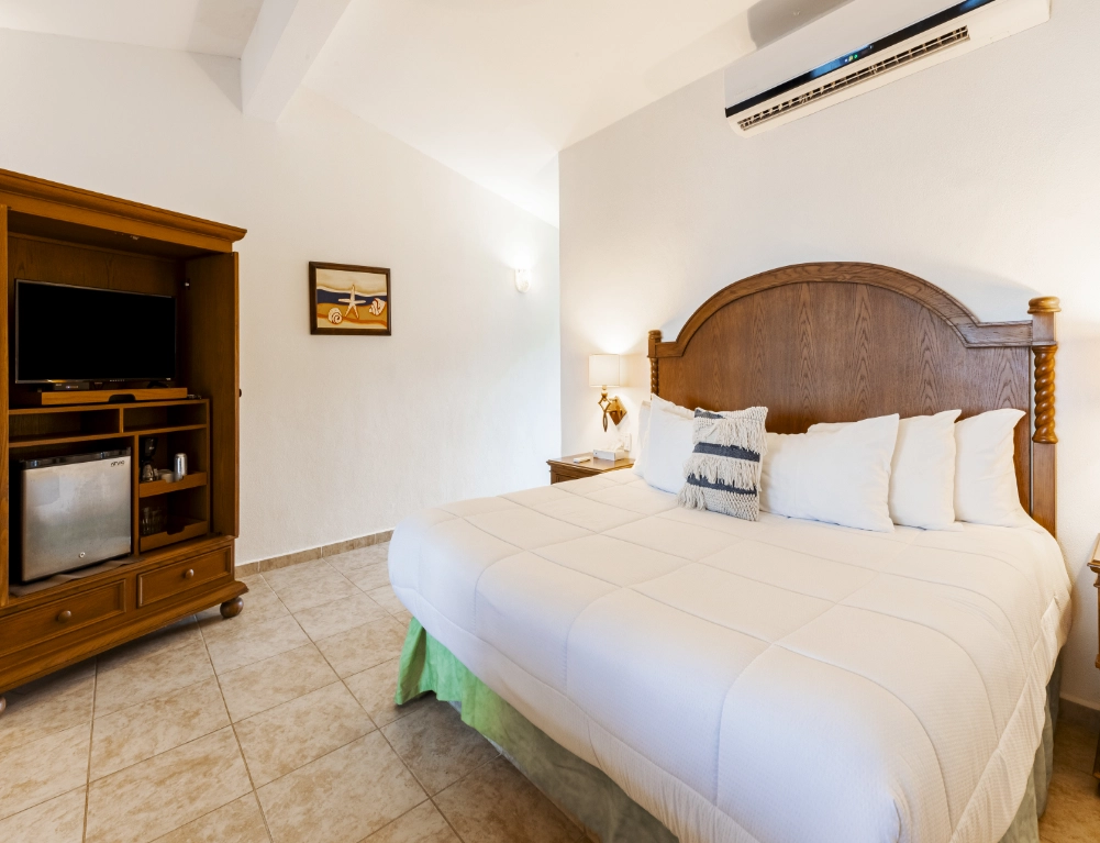 Villas 4 Recámara de Villa Luxury King